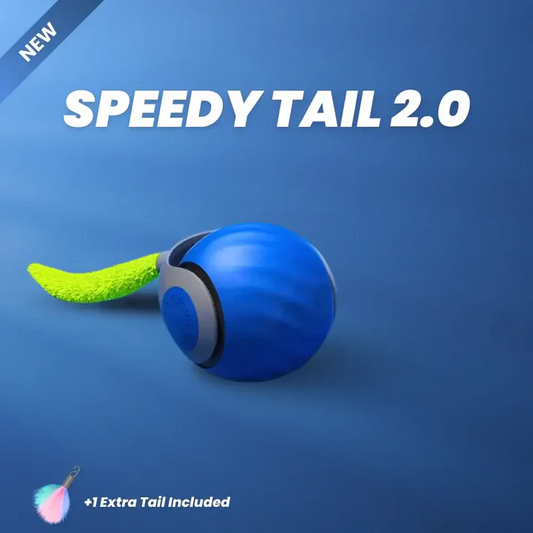 SPEEDY TAIL 2.0